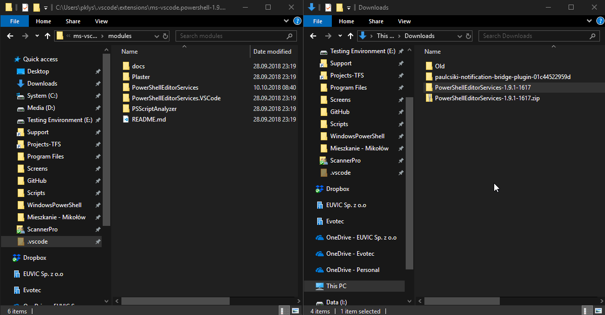 Windows Explorer copy from a ZIP file into the modules folder proceeding without the usual overwrite confirmation dialog.