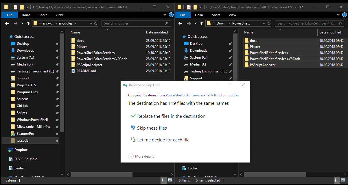 Windows Replace or Skip Files dialog showing the usual overwrite prompt when copied files already exist in the destination folder.